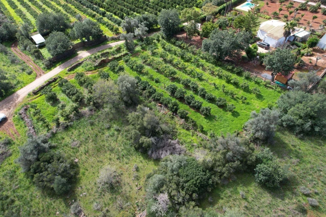Terreno para Venda em São Bartolomeu de Messines Foto 9
