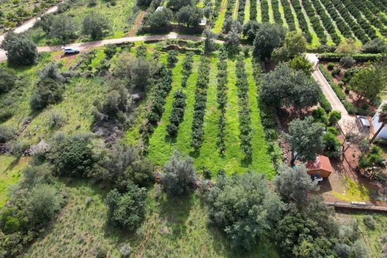 Terreno para Venda em São Bartolomeu de Messines Foto 7