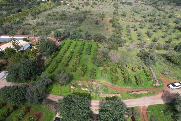 Terreno para Venda em São Bartolomeu de Messines Foto 3