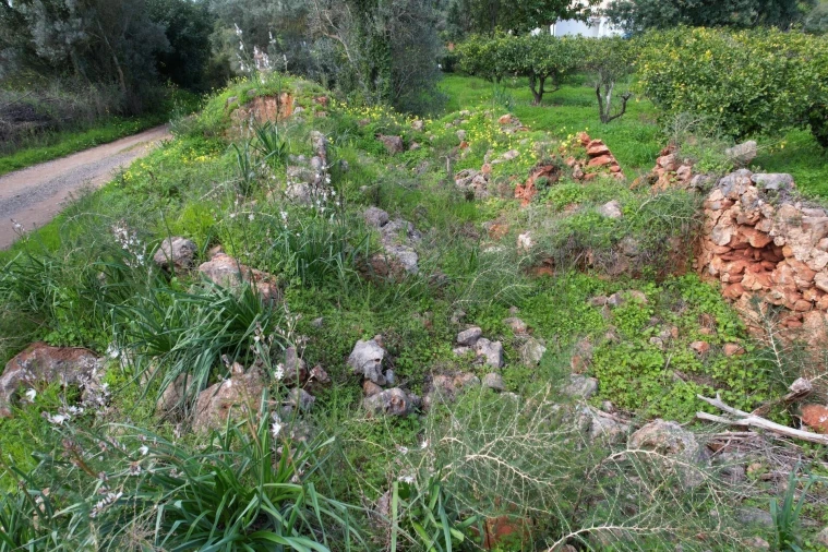 Terreno para Venda em São Bartolomeu de Messines Foto 14