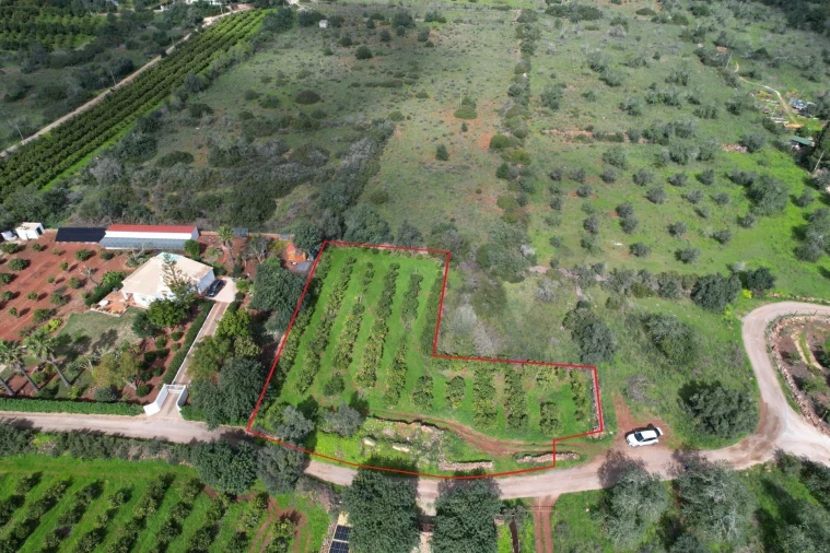 Terreno para Venda em São Bartolomeu de Messines Foto 1