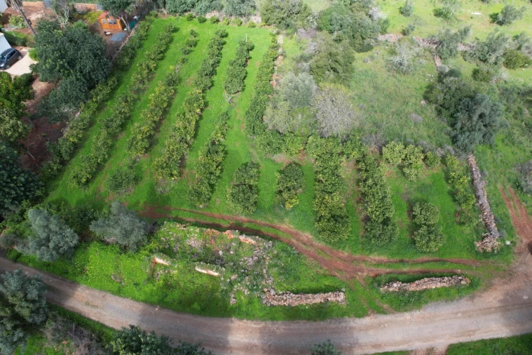 Terreno para Venda em São Bartolomeu de Messines Foto 4