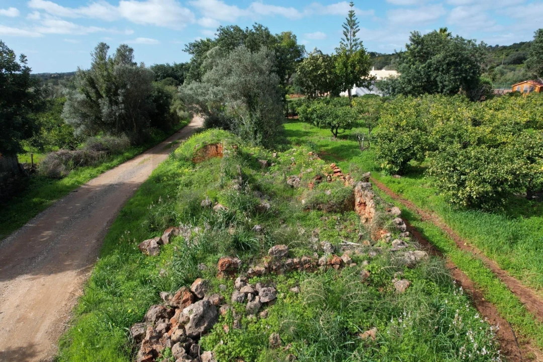 Terreno para Venda em São Bartolomeu de Messines Foto 12