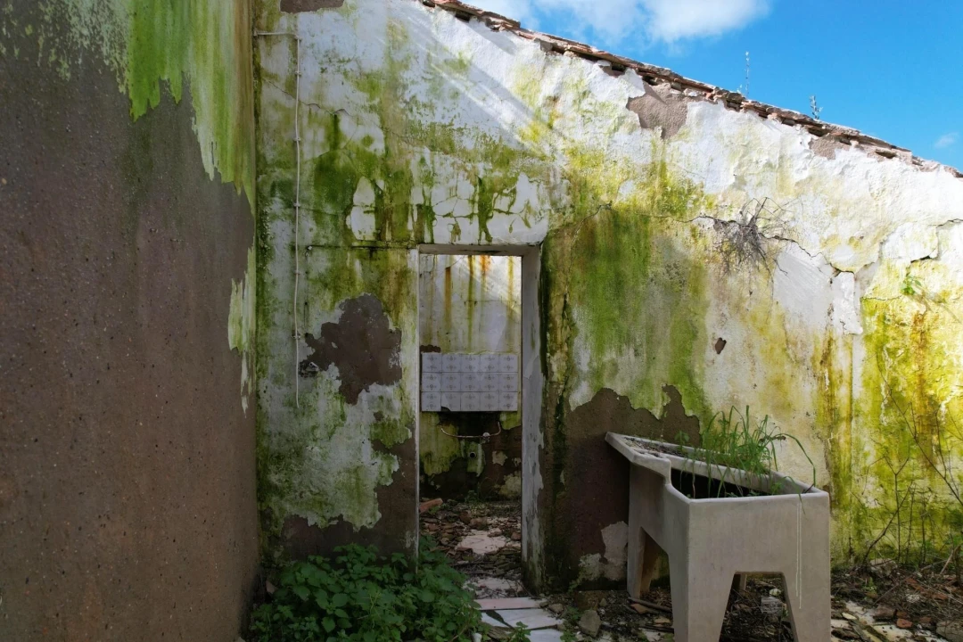 Moradia T2 para Venda em São Silvestre Foto 19