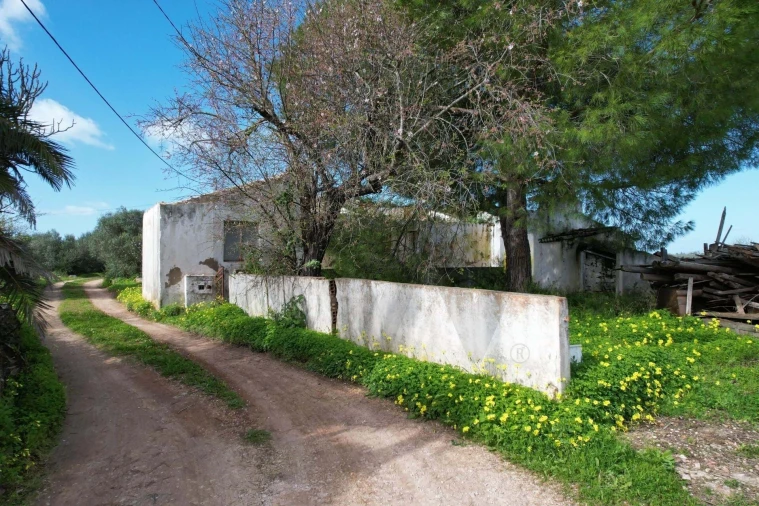 Moradia T2 para Venda em São Silvestre Foto 23