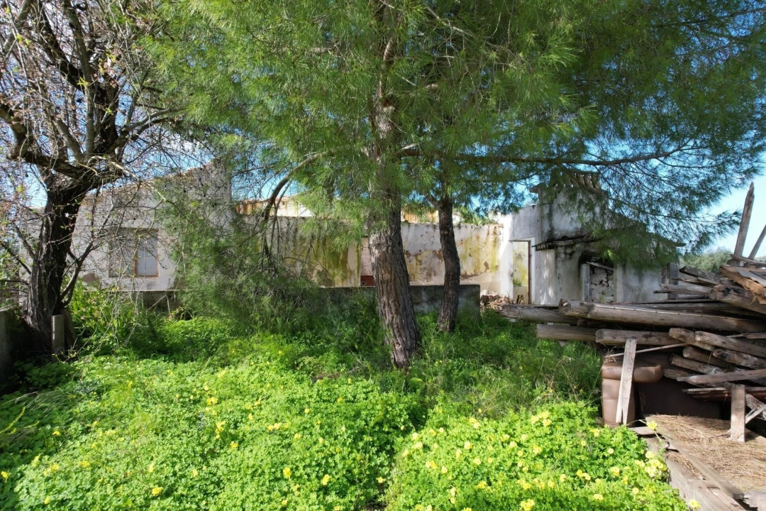 Moradia T2 para Venda em São Silvestre Foto 22