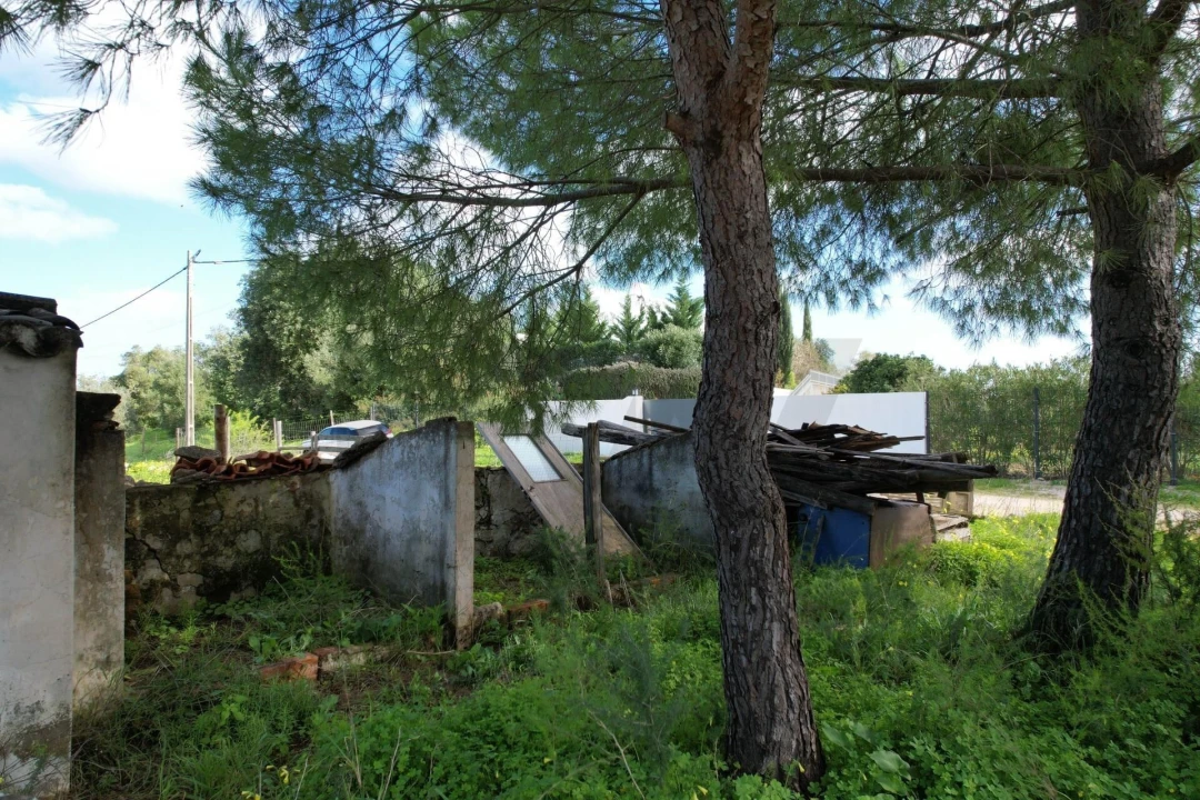 Moradia T2 para Venda em São Silvestre Foto 21