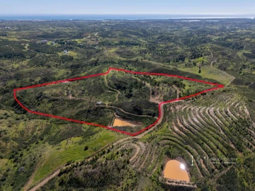 Terreno para Venda em Cachopo