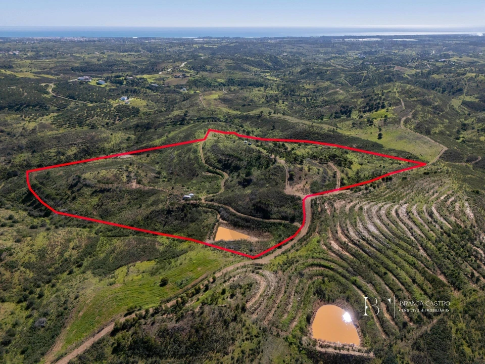 Terreno para Venda em Cachopo Foto 4