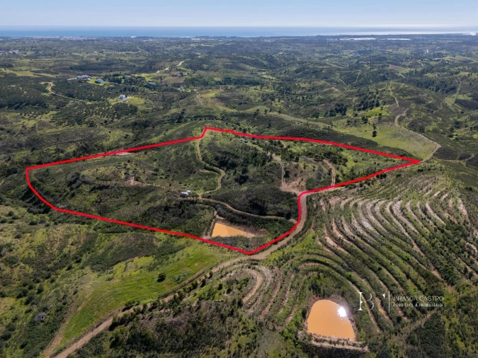 Terreno para Venda em Cachopo Foto 4