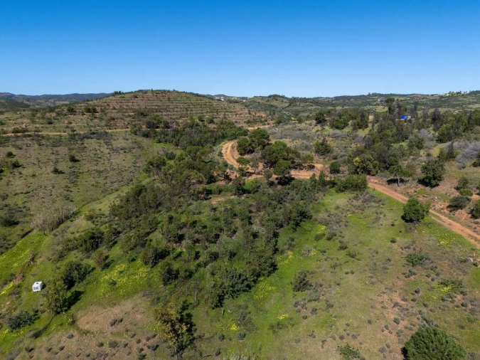 Terreno para Venda em Cachopo Foto 7