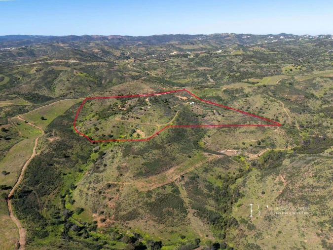 Terreno para Venda em Cachopo Foto 3