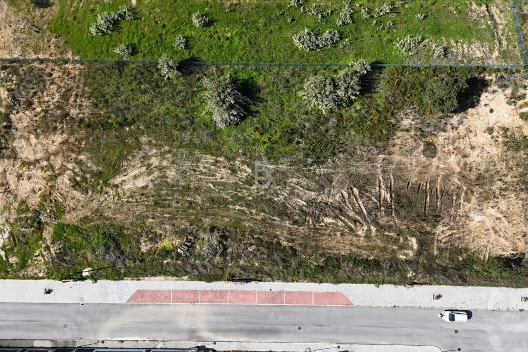 Terreno para Venda em Marinhais Foto 4