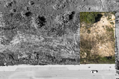 Terreno para Venda em Marinhais