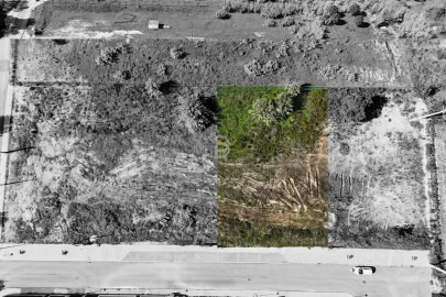 Terreno para Venda em Marinhais