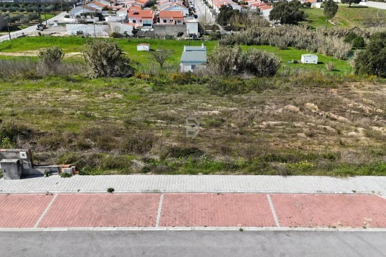 Terreno para Venda em Marinhais Foto 3