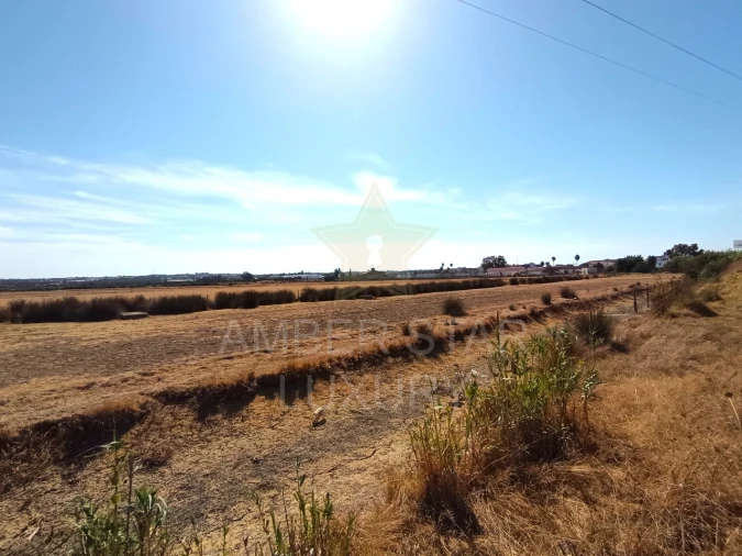 Terreno para Venda em Lagoa e Carvoeiro Foto 3