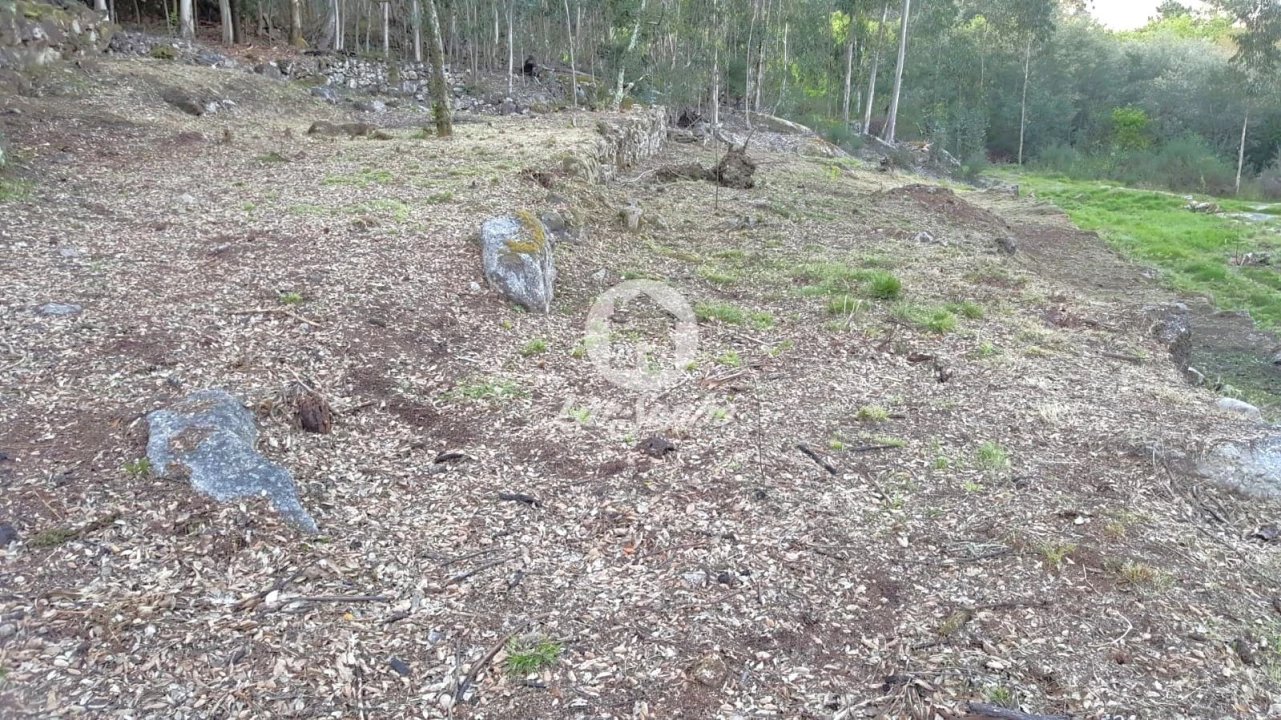 Terreno para Venda em Quintiães e Aguiar Foto 9