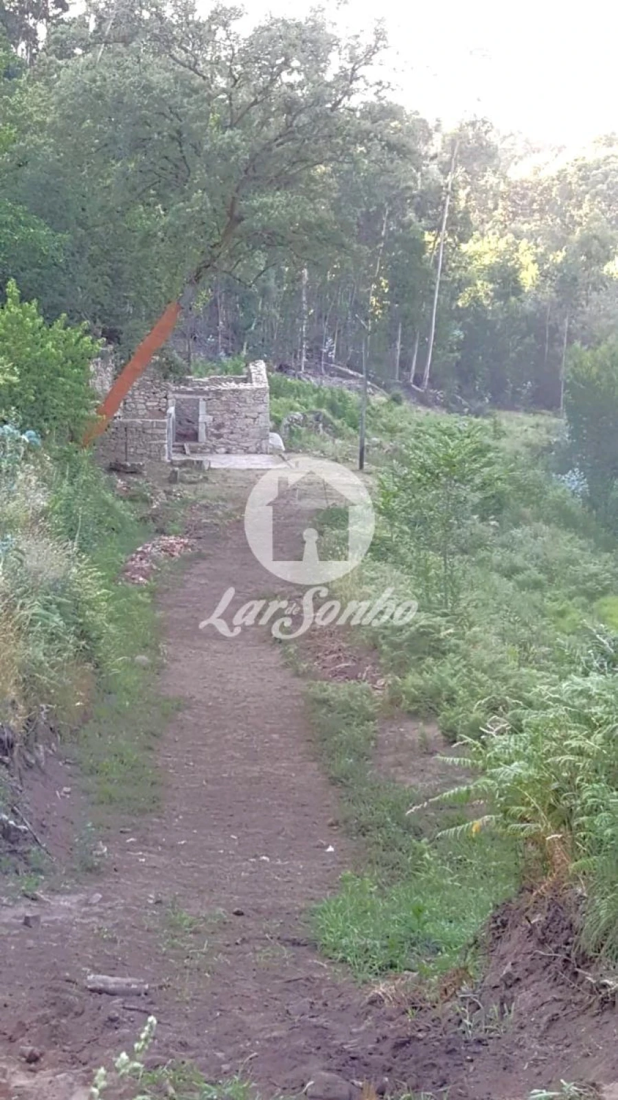 Terreno para Venda em Quintiães e Aguiar Foto 7