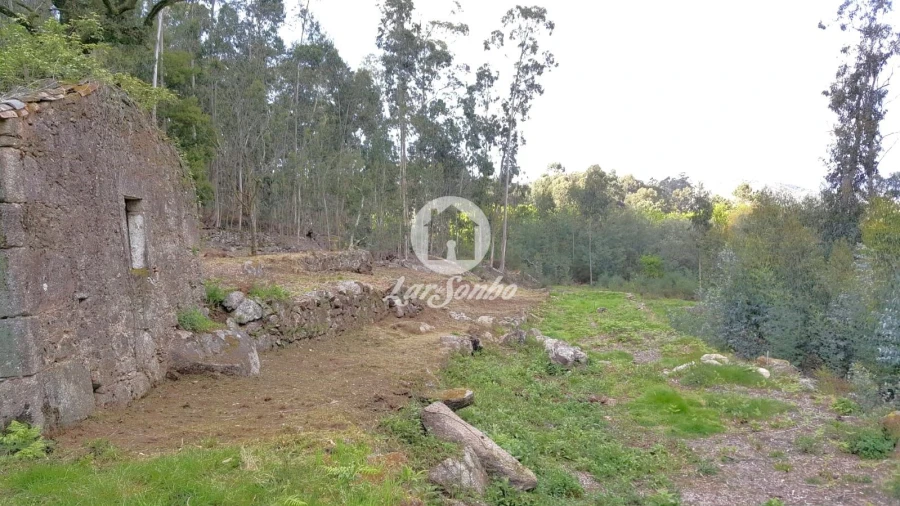 Terreno para Venda em Quintiães e Aguiar Foto 8