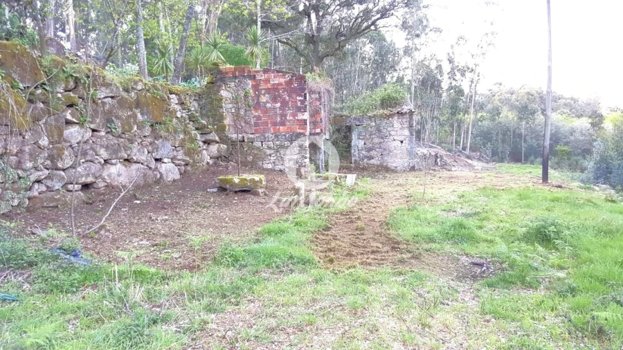 Terreno para Venda em Quintiães e Aguiar Foto 10