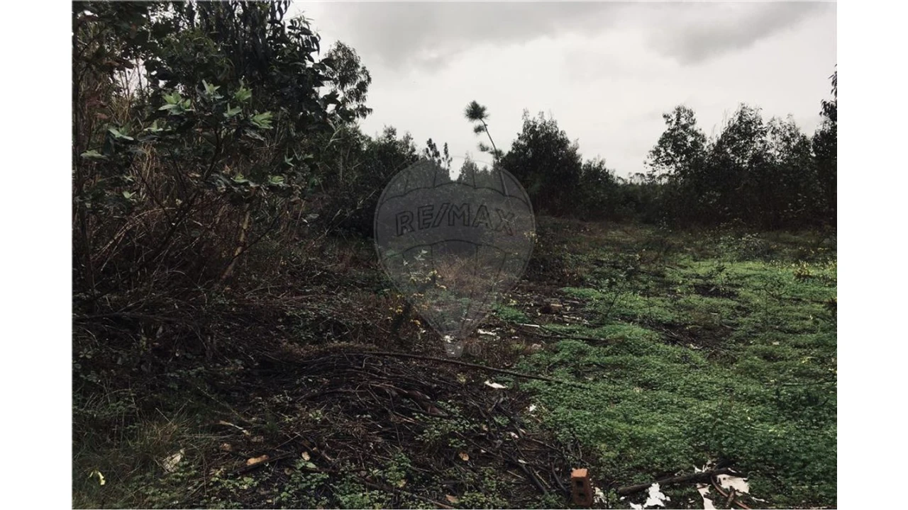 Terreno para Venda em A dos Cunhados e Maceira Foto 2