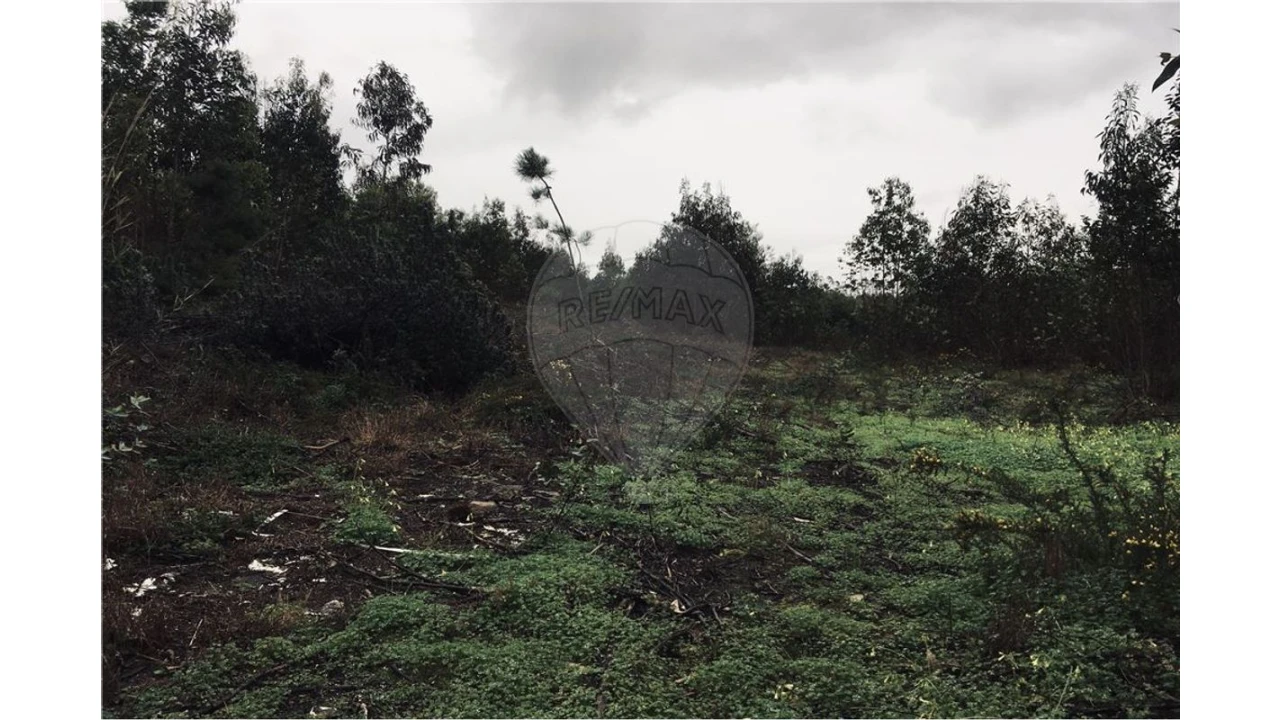 Terreno para Venda em A dos Cunhados e Maceira Foto 4