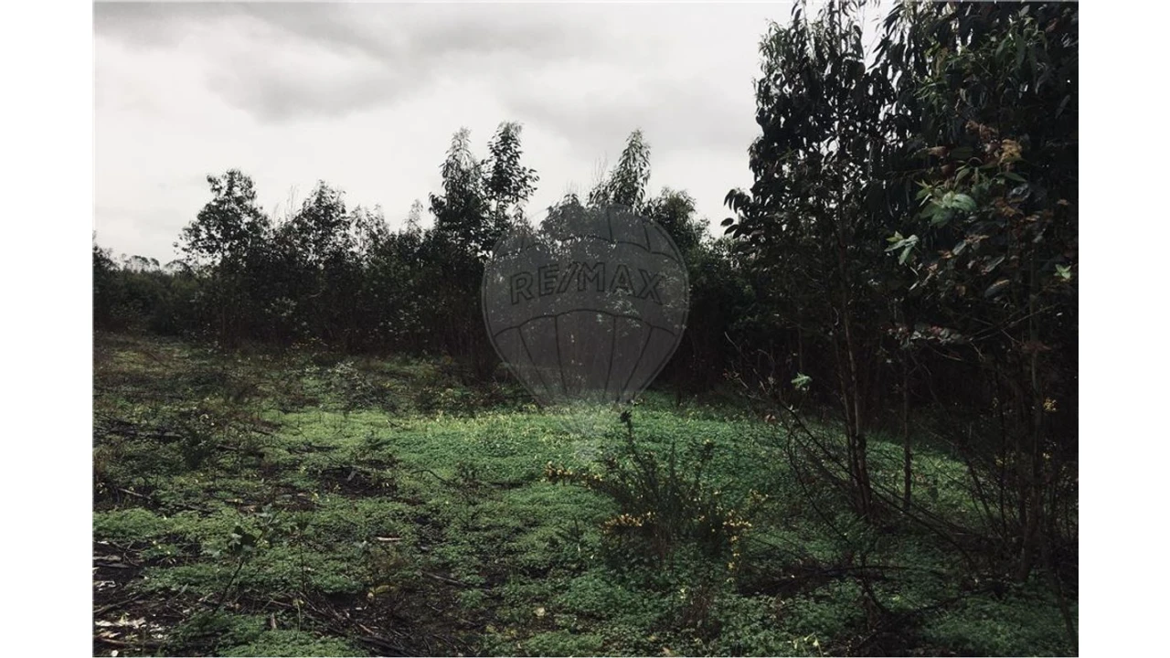 Terreno para Venda em A dos Cunhados e Maceira Foto 5