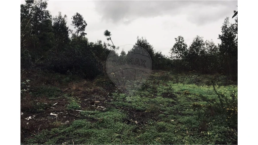Terreno para Venda em A dos Cunhados e Maceira Foto 4