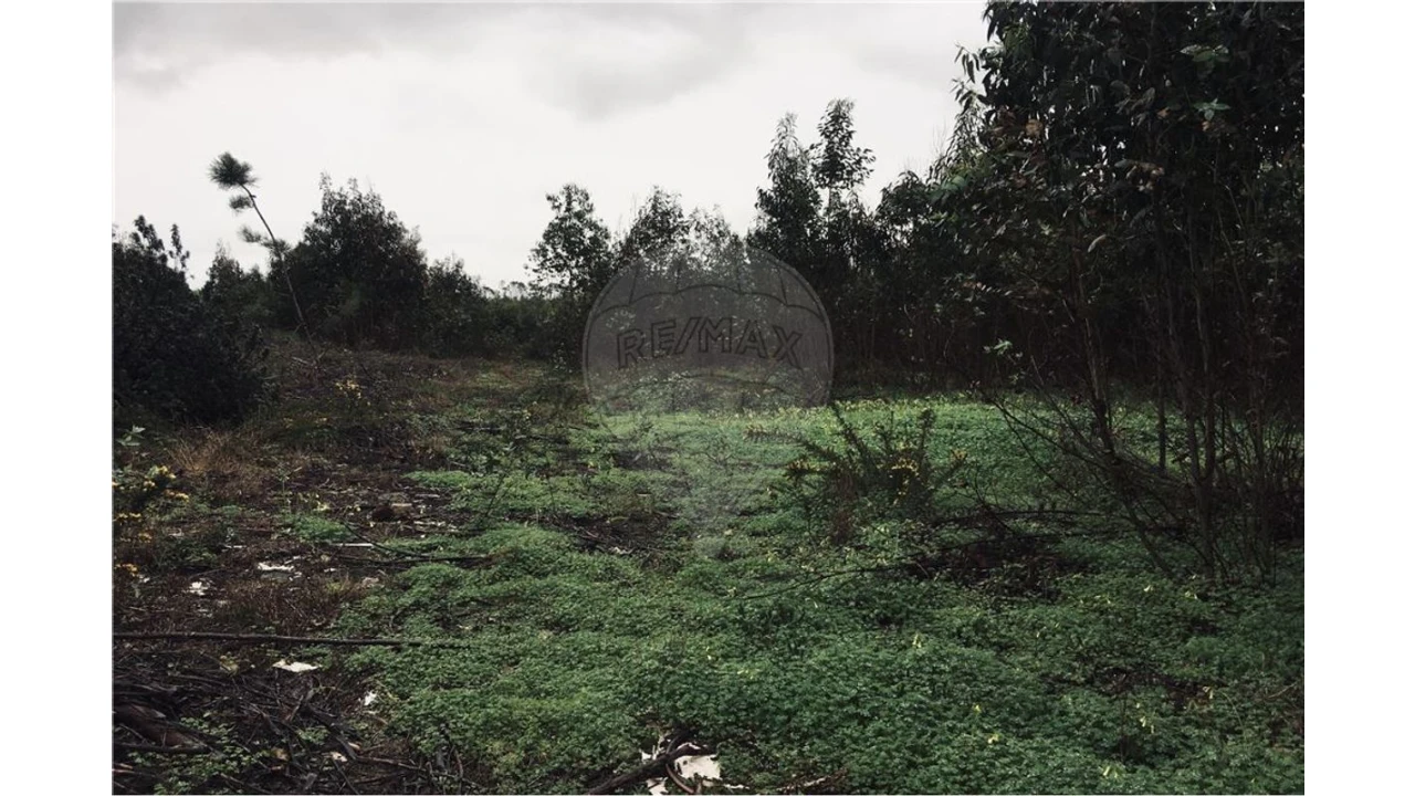Terreno para Venda em A dos Cunhados e Maceira Foto 3