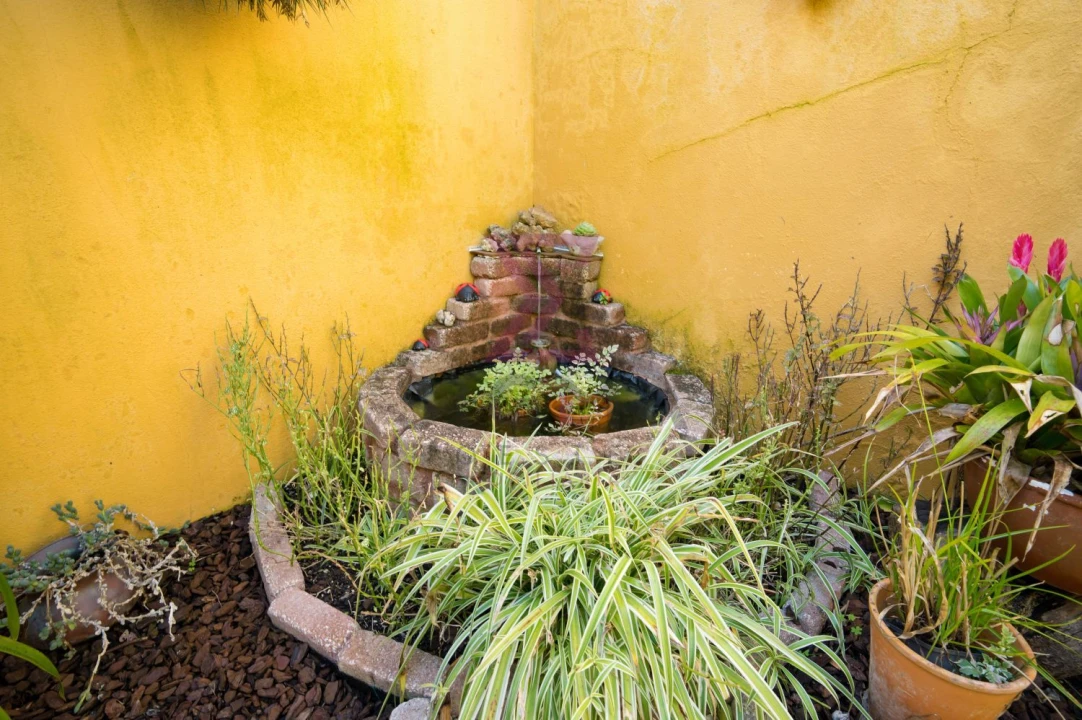 Moradia T2 para Venda em Bombarral e Vale Covo Foto 25