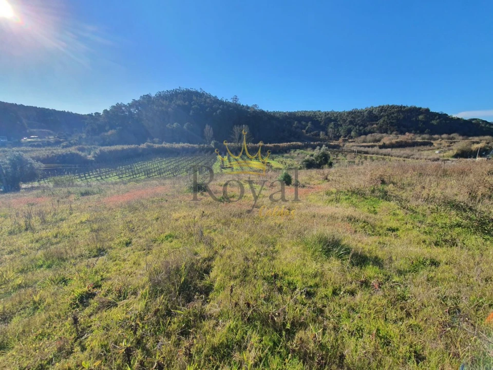 Terreno para Venda em Salir de Matos Foto 6