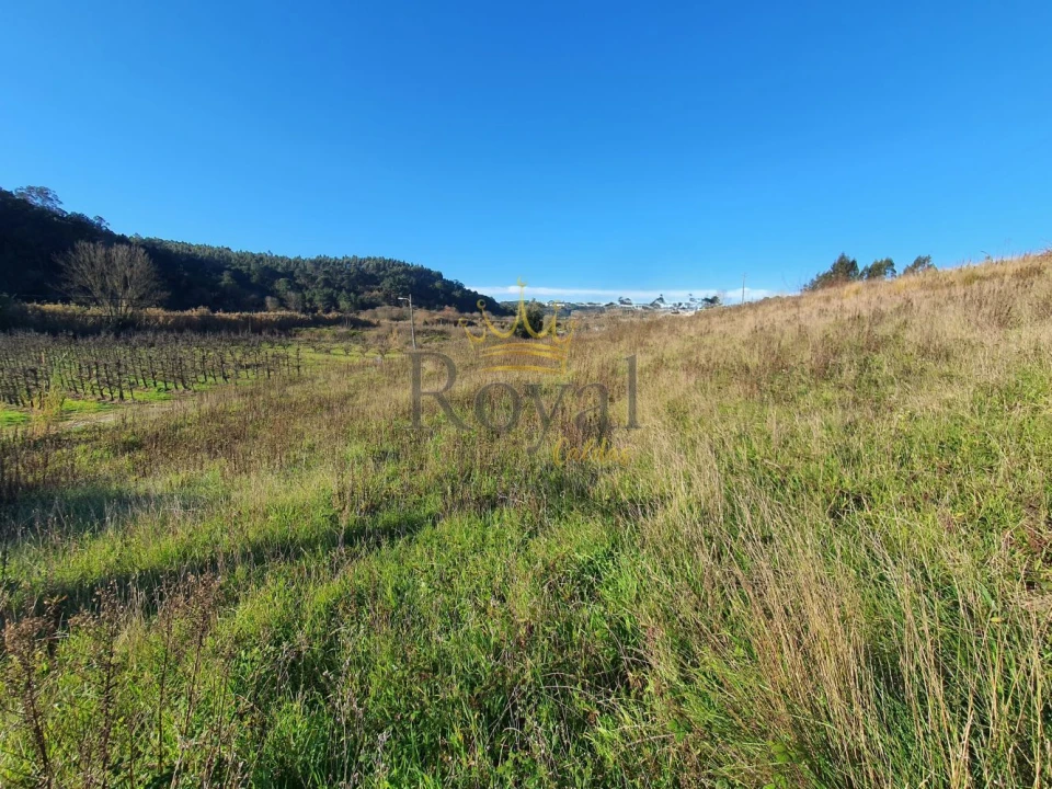 Terreno para Venda em Salir de Matos Foto 5