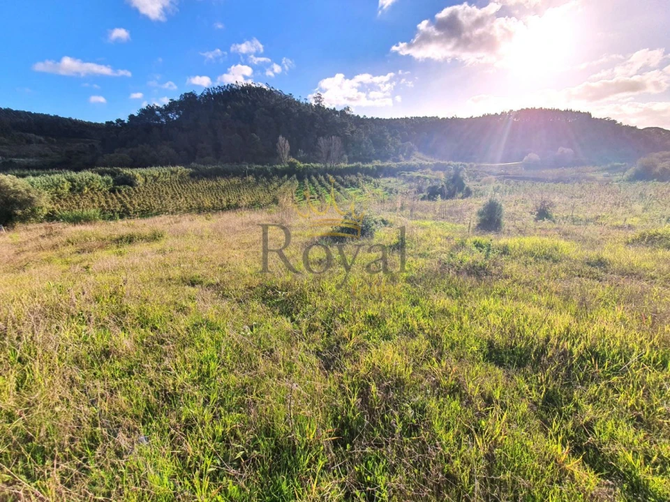 Terreno para Venda em Salir de Matos Foto 8