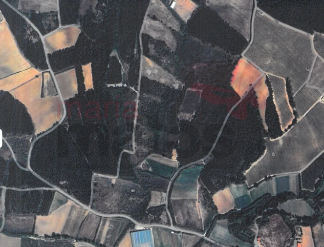 Terreno para Venda em Lourinhã e Atalaia Foto 1