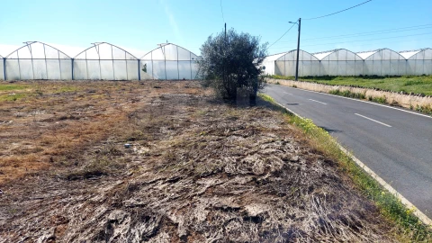Terreno para Venda em Conceição e Estoi