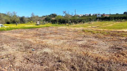 Terreno para Venda em Conceição e Estoi