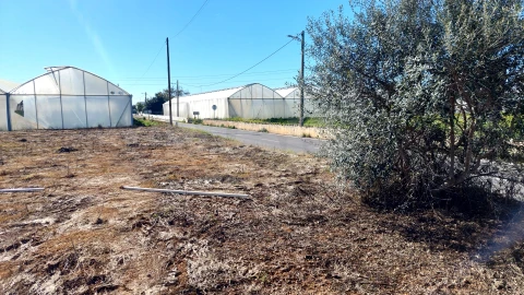 Terreno para Venda em Conceição e Estoi