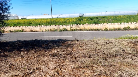 Terreno para Venda em Conceição e Estoi