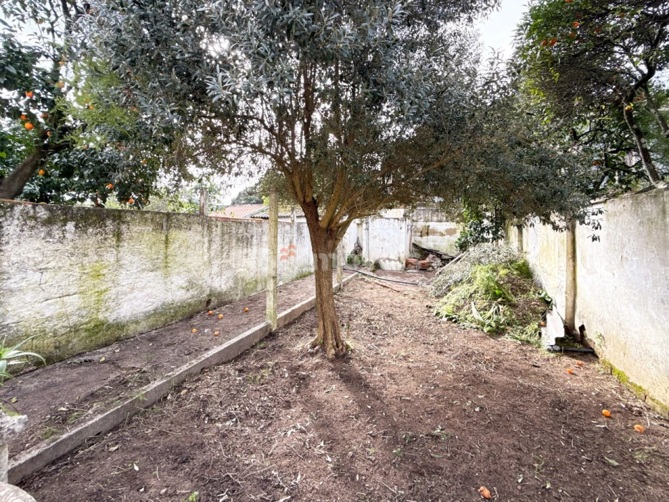 Moradia T3 para Venda em São João Baptista Foto 21