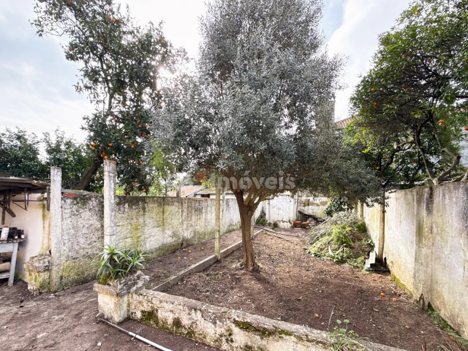 Moradia T3 para Venda em São João Baptista Foto 4