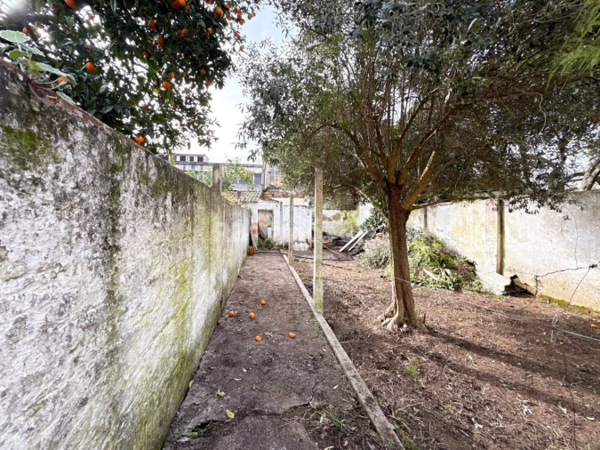 Moradia T3 para Venda em São João Baptista Foto 20