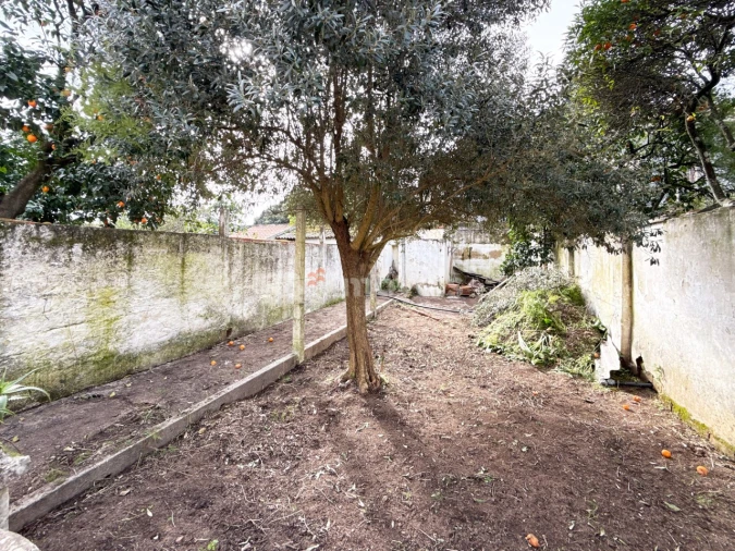 Moradia T3 para Venda em São João Baptista Foto 21