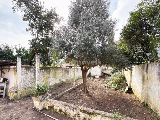 Moradia T3 para Venda em São João Baptista Foto 4