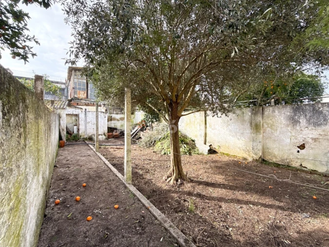 Moradia T3 para Venda em São João Baptista Foto 23