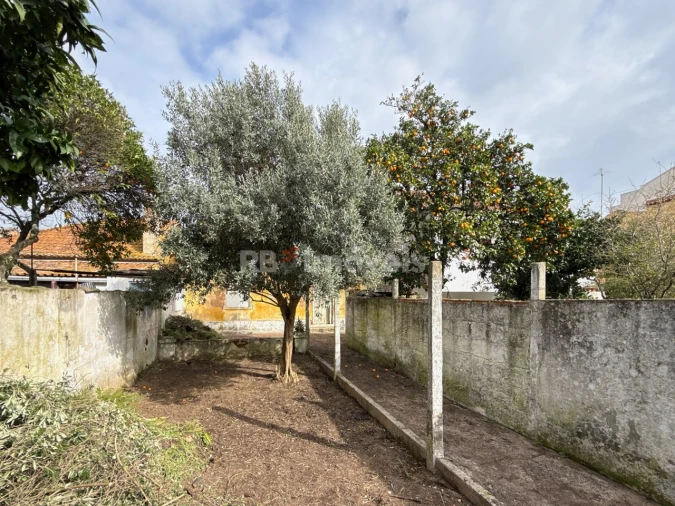 Moradia T3 para Venda em São João Baptista Foto 25