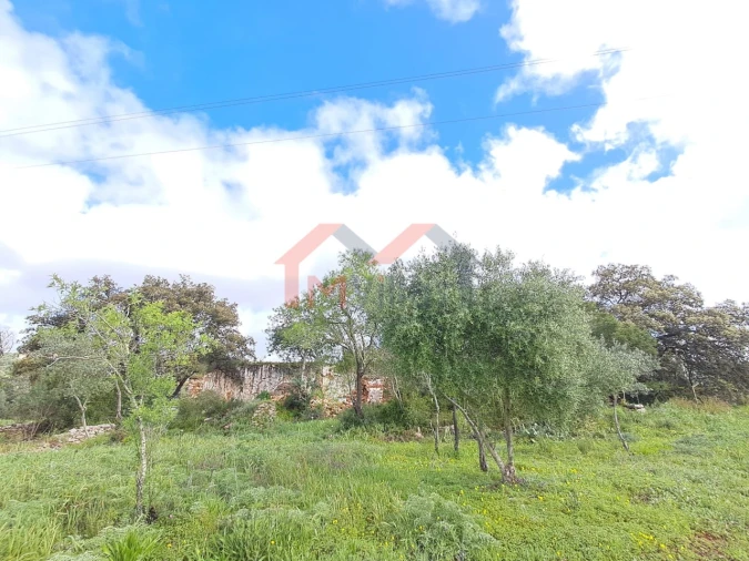Terreno para Venda em Loule (São Clemente) Foto 1