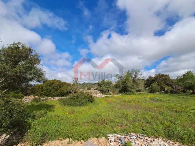 Terreno para Venda em Loule (São Clemente) Foto 8