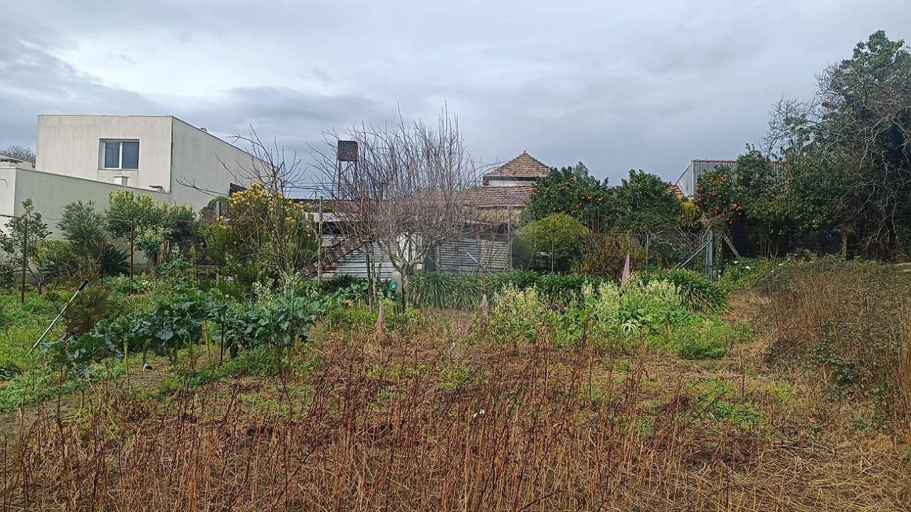 Moradia T2 para Venda em Canidelo Foto 3