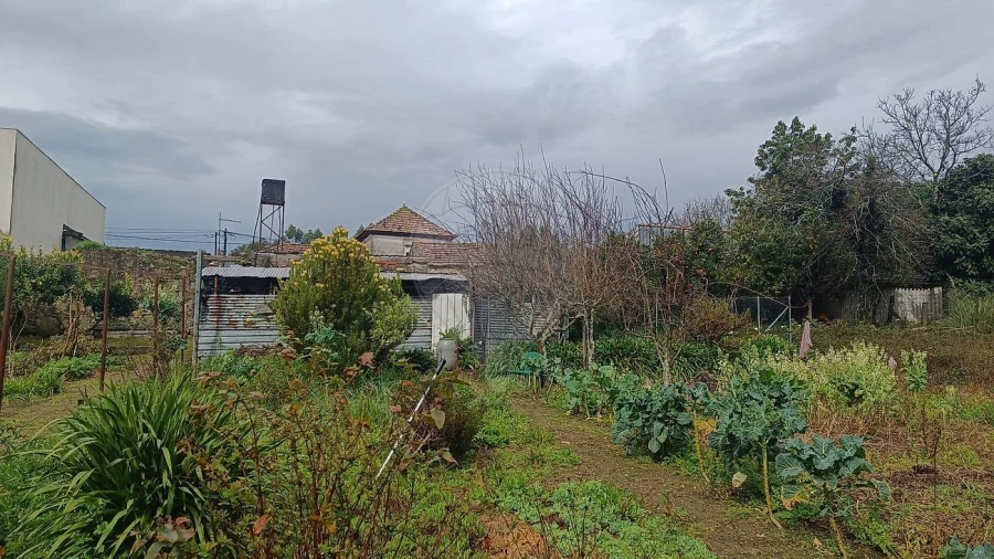 Moradia T2 para Venda em Canidelo Foto 5